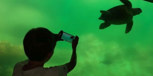 Seaworld Orlando (c) west-digital.fr 2025