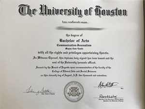 Bachelor's Degree de l'Université de Houston